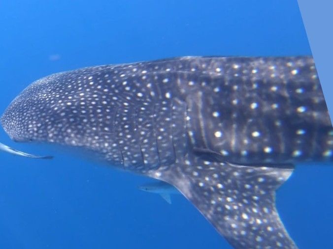 331c52eb-9a00-4fd8-8ca3-5df296fbc487