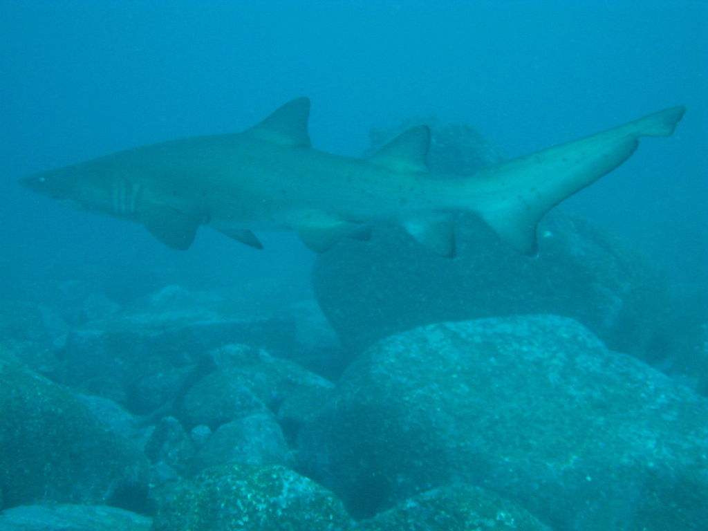 ce3f038b-f902-49bb-818f-9719c3fa6f5b