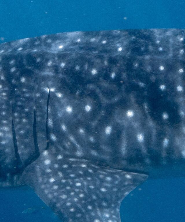 f7e58991-7195-4ba2-9805-29c46a76ab15