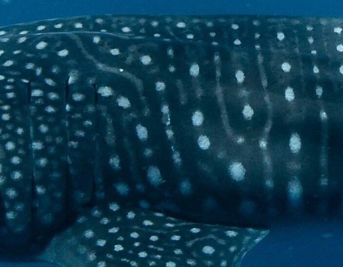 24bcbd31-4e94-4fb1-843a-0cc30ffd0b3f