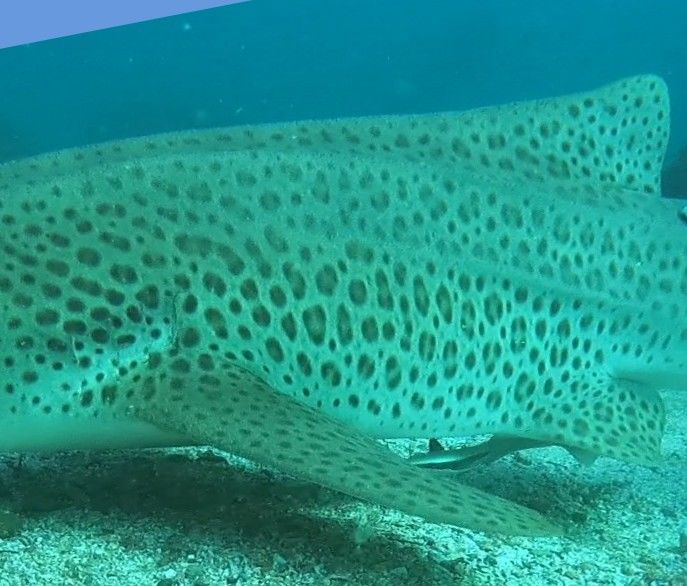 66ccb5de-0a12-4dcb-aa89-eef02357bfac