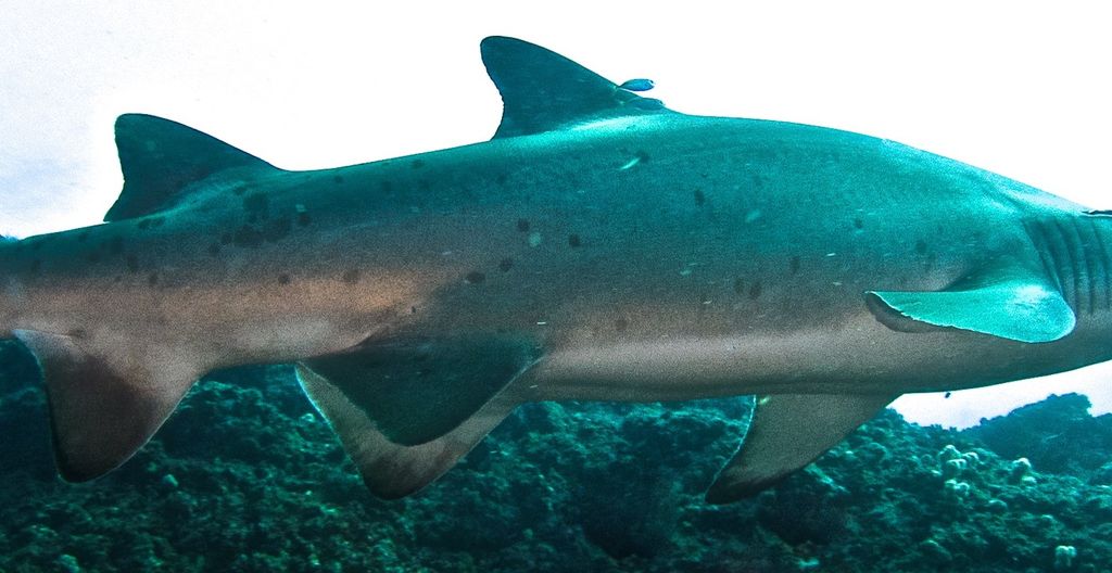 897be2e4-ea77-46fe-94a6-ffa158a11427