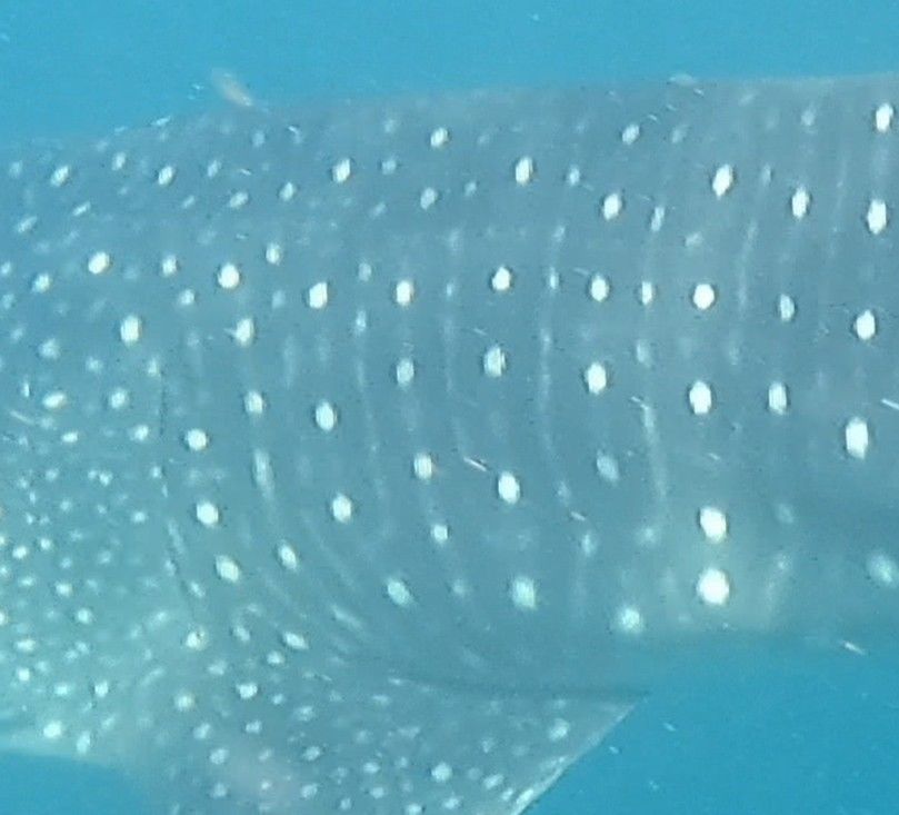 83f96501-b77d-4884-9708-0995d8b8003f