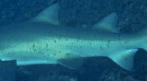 e41b82c0-e9e7-4a15-b8c8-a8fc764a1ec0