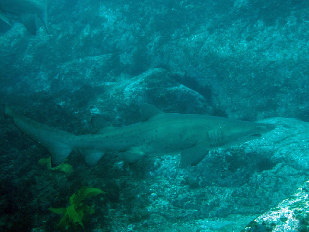 3e7ef99f-81bc-4ed5-934b-5fdb5f606ad1