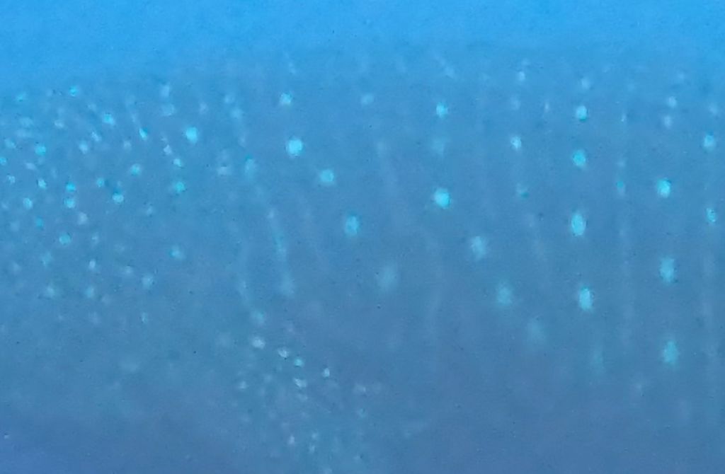 6aa1771d-c5e1-498e-917c-c84d93e0cd89