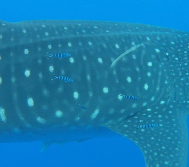 6bef2826-998a-45d5-acdd-b99a310d6cd7