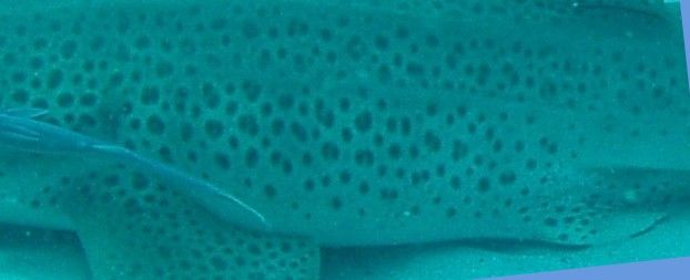 b907abe2-3d04-407f-b3ce-f925bc9d529d