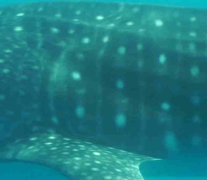 08a8fa1f-3933-427f-83f8-65d2f24c93a7