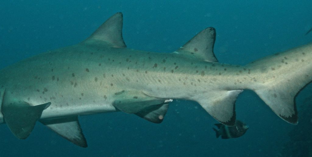 782cf3cf-d874-4bcb-867d-3ad8dec276e6