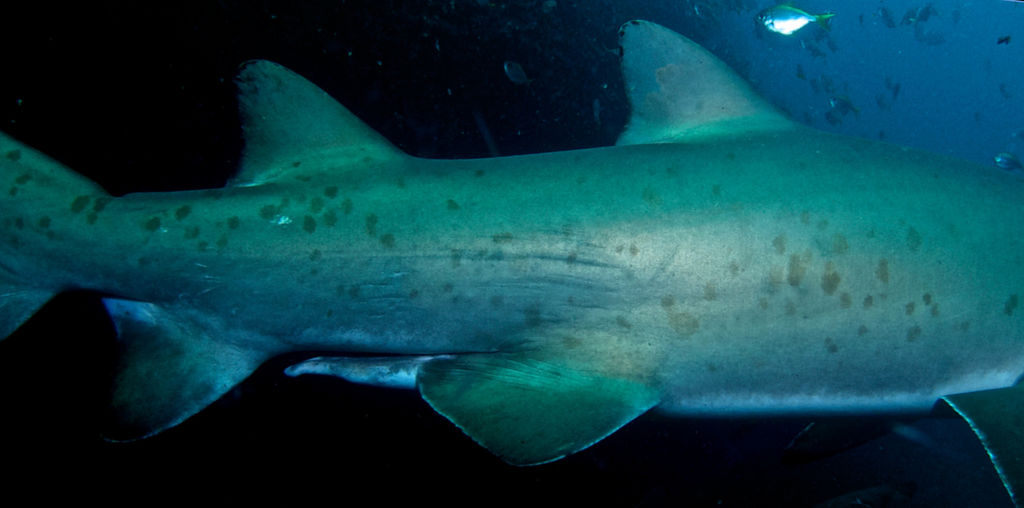 b8a7fa58-945f-4e0d-8795-9842d97da59a