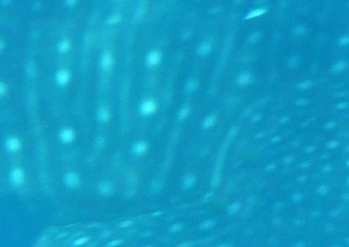 50a51591-d8de-4bd8-b05e-d761c2661b32