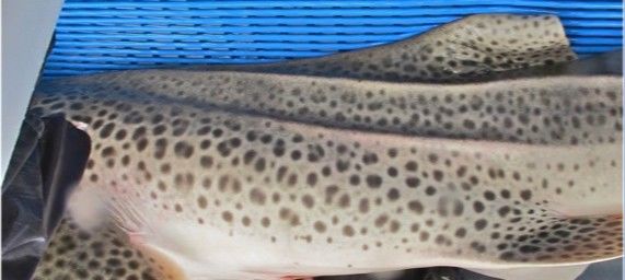 11ac9c92-9de2-450e-ae41-5c5e0ba7c702