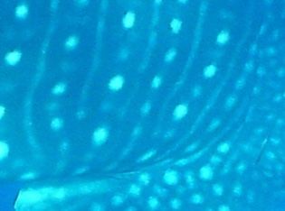 1dbf8cb7-e376-4370-a23e-f4a748d3edb4