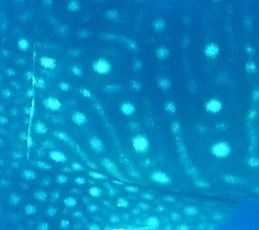 1dbf8cb7-e376-4370-a23e-f4a748d3edb4