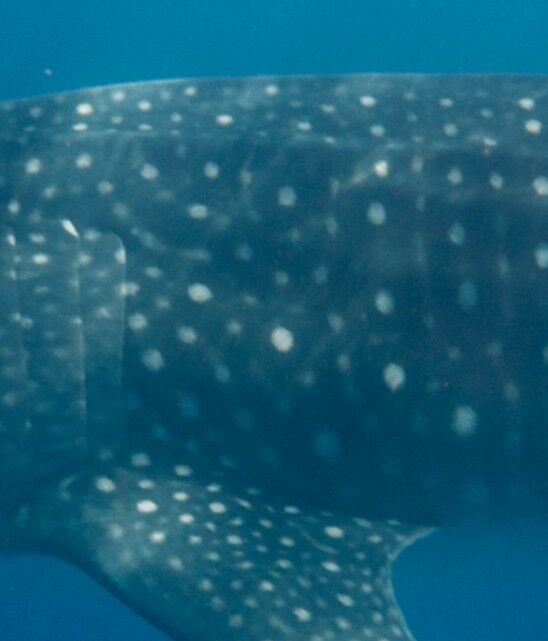 34fbb821-2f01-46ff-b3ad-17ddb5d1dced