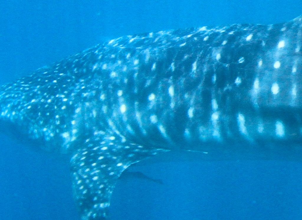 dd3fcb51-6edf-4c25-b268-e94ad00002f1