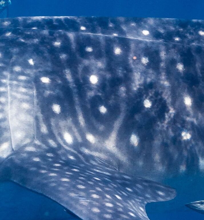 252ee35d-ff72-414f-b560-b1fe73ca0915