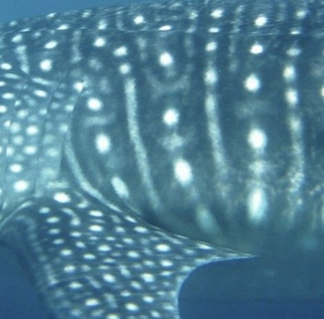 6b18189c-f7d1-4f16-b0a4-6671aed10c96