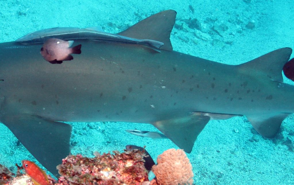 853f6bcd-dcf0-4a22-b213-b62f4ad28113