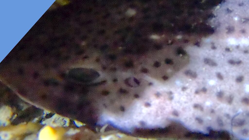 b5c09b47-6a53-4dd0-b58b-0ea96d2f8457