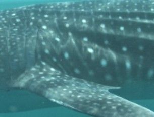 16f11bb7-b8f6-4f63-bd81-6f1f65d80e6c