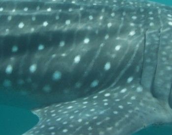 16f11bb7-b8f6-4f63-bd81-6f1f65d80e6c