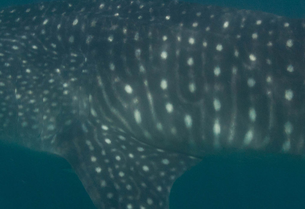 2dcb29f4-633f-459f-b845-937b32495a72