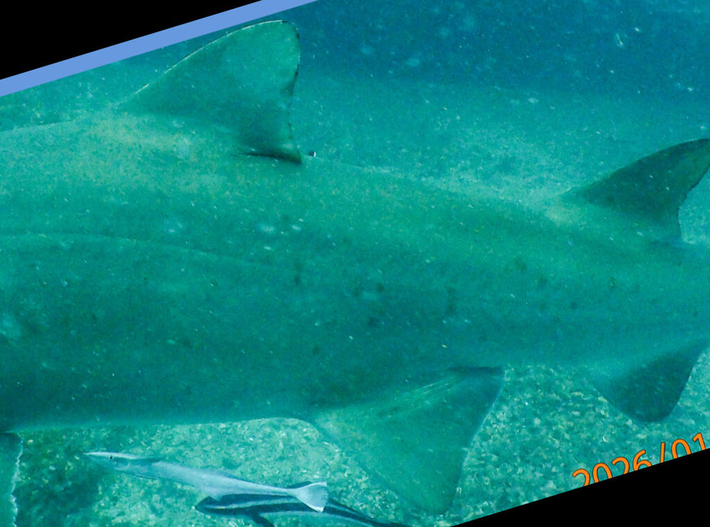 56fdf24e-4e09-49c5-bd3a-12b4ce67aa5d