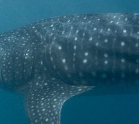 2eb6699b-e5a1-4545-81ab-67f763dbcc43