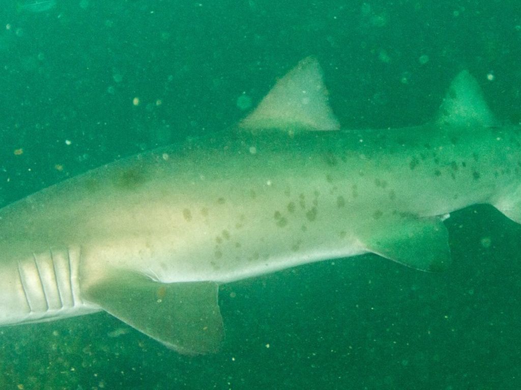 c601e735-aa86-4032-b066-a84ac664ab2f