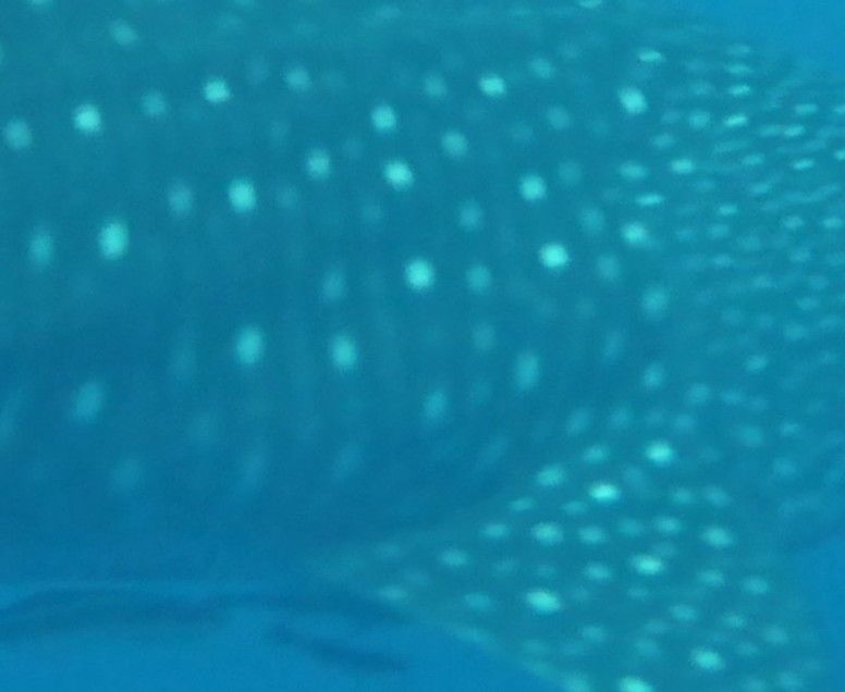 624feea8-88c2-4d22-a9d7-cb7d4c3f697c