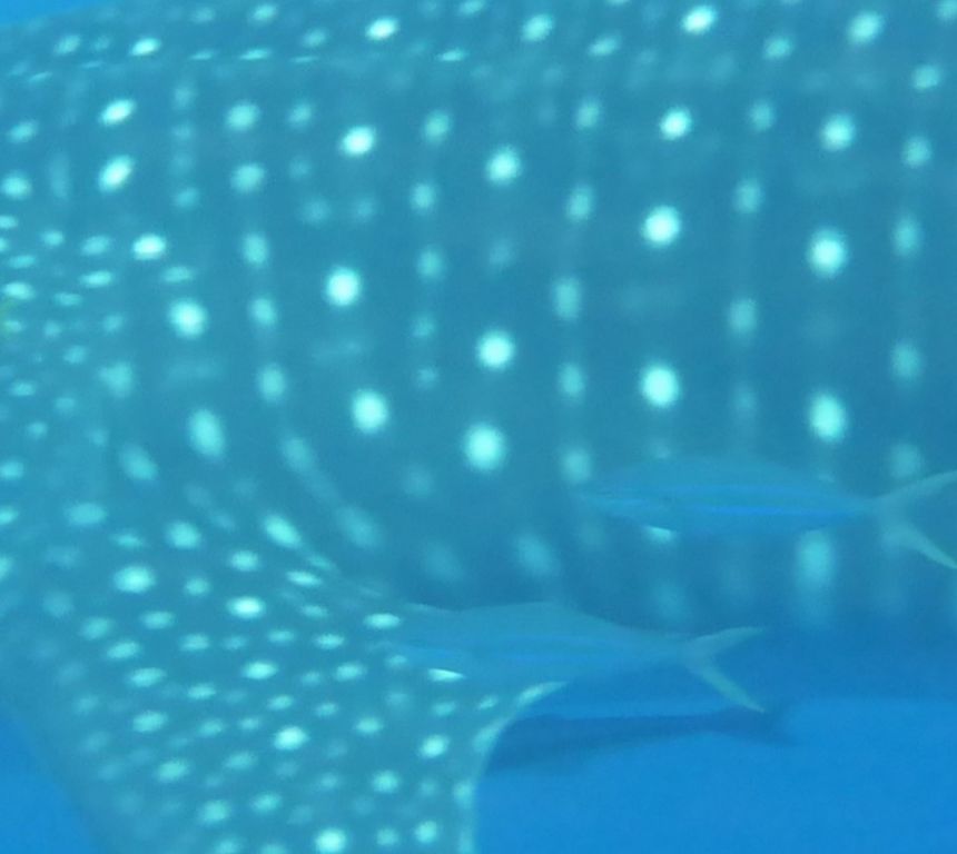 624feea8-88c2-4d22-a9d7-cb7d4c3f697c