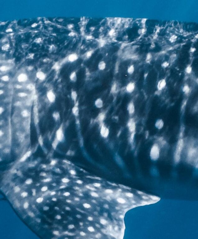 b74238a2-2a04-468f-99b1-60d52784fc12