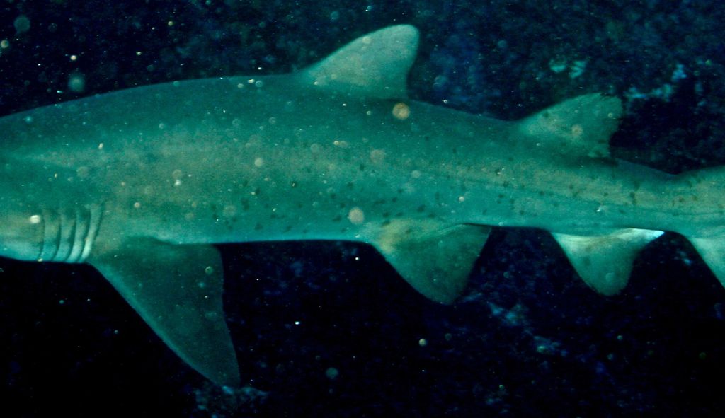 3c53074d-52a0-4e6f-b06a-df6f2edb279f