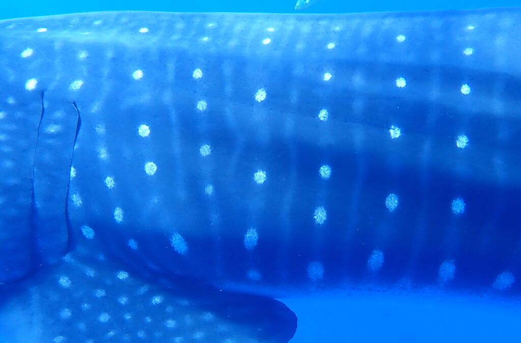 67ab5890-1720-4dec-bf2f-0e6caa83b6e8