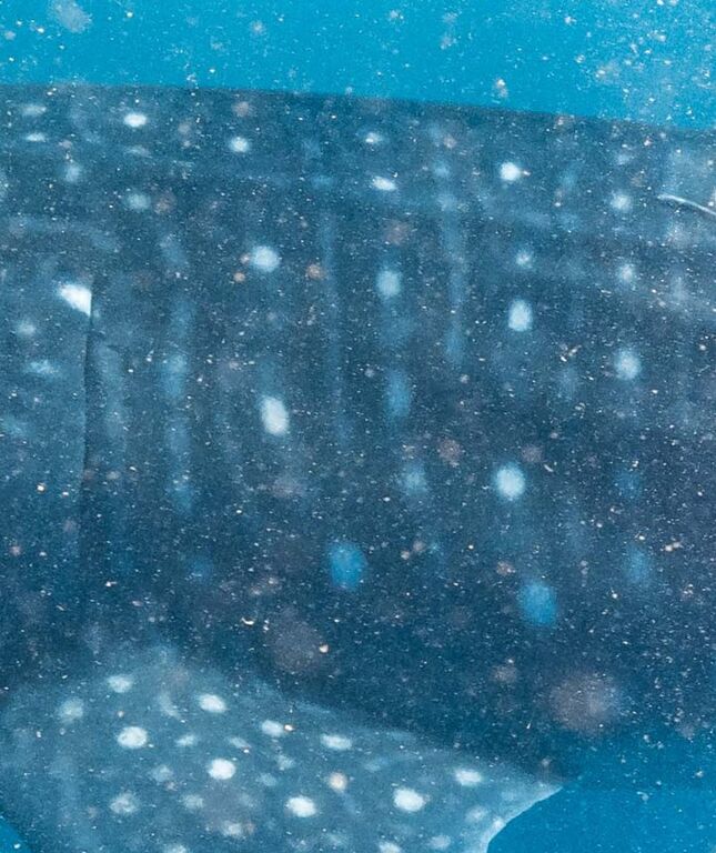 3220dd36-7525-4c4b-90aa-b4bc569fe1bb