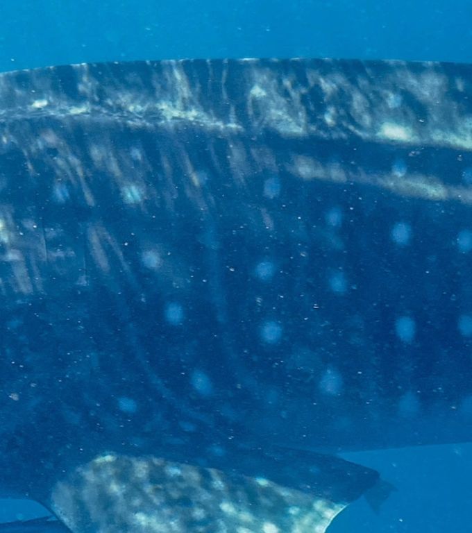 8c0ccc14-7207-4fdf-84d0-86aa85916204