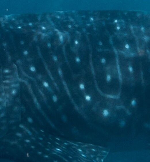 784b2540-b85a-4143-b395-c15aa7182762