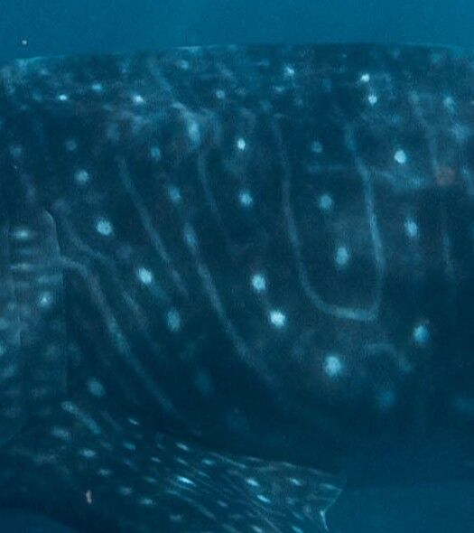 784b2540-b85a-4143-b395-c15aa7182762