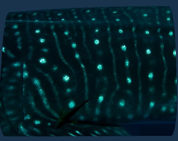 7e8c09ad-88a7-43ad-a373-48770b4c032d