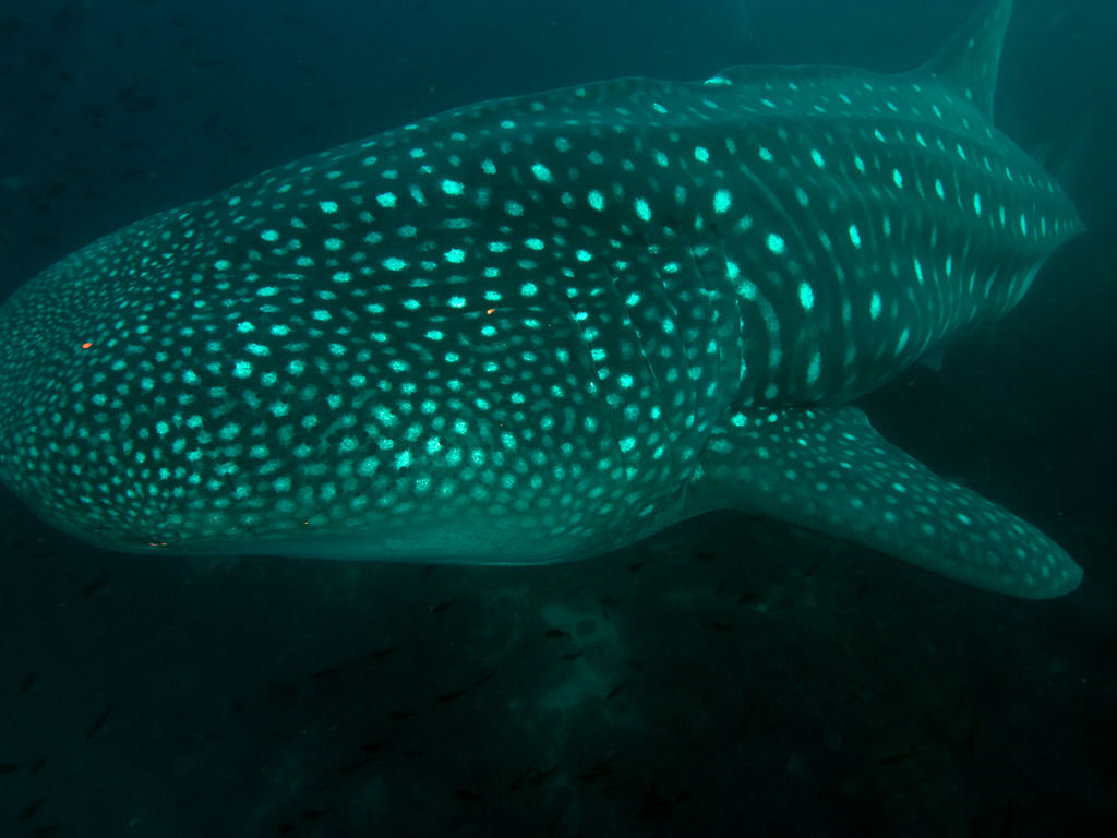 e1551402-3f10-4c02-b9d4-a84a71872d23