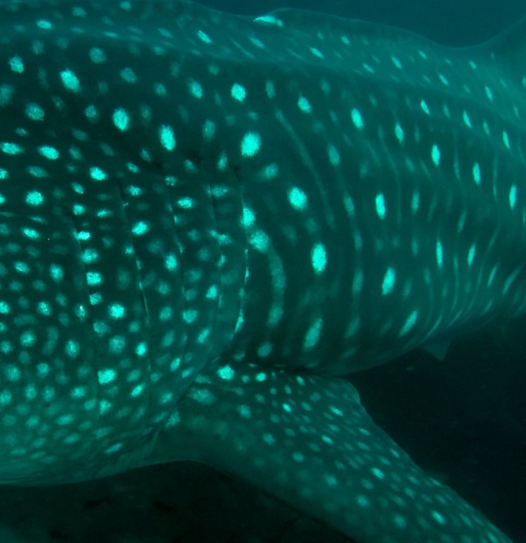 e1551402-3f10-4c02-b9d4-a84a71872d23