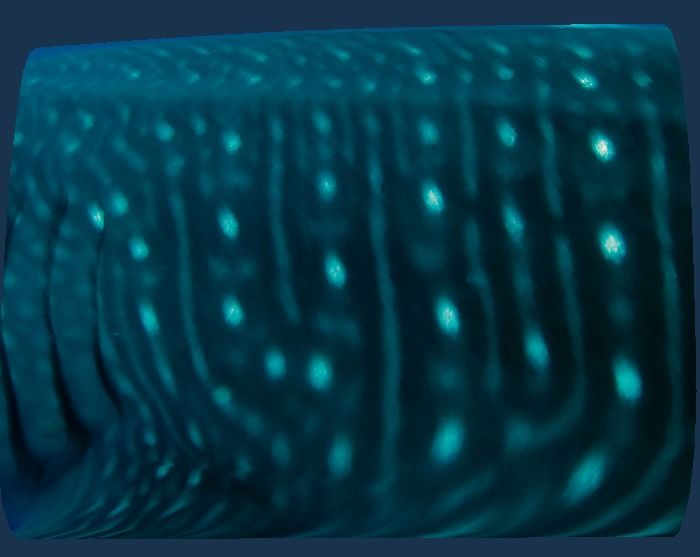 4612dd04-2ad6-4b3e-a76d-3f14bb895041