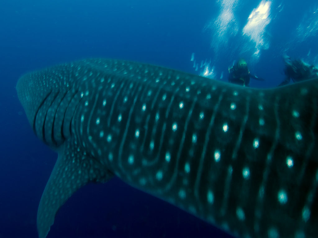 4612dd04-2ad6-4b3e-a76d-3f14bb895041