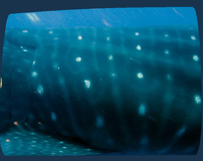 94ca75d9-4c05-455c-a5b3-db02367b11ea