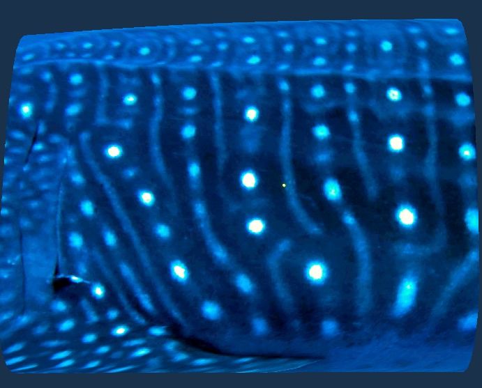 ab05a955-681c-49a4-9fa2-c4f004d8cb99