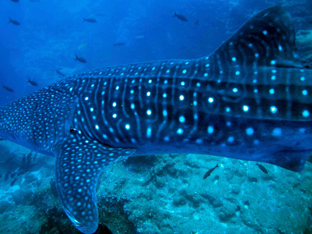 ab05a955-681c-49a4-9fa2-c4f004d8cb99