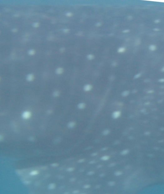 2bc6ea82-3614-405b-8003-a75fb0341c6c