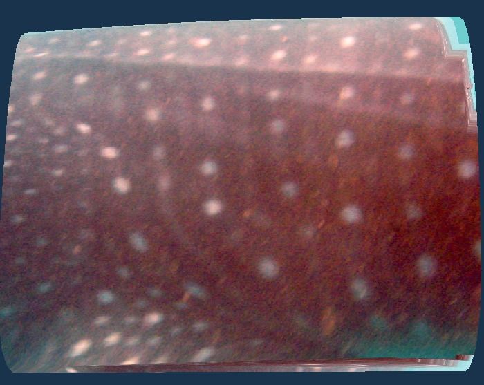 2bc6ea82-3614-405b-8003-a75fb0341c6c